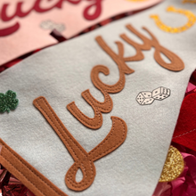 Load image into Gallery viewer, Large Lucky Flag